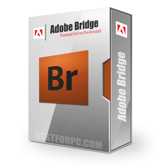 adobe bridge free download for windows 7